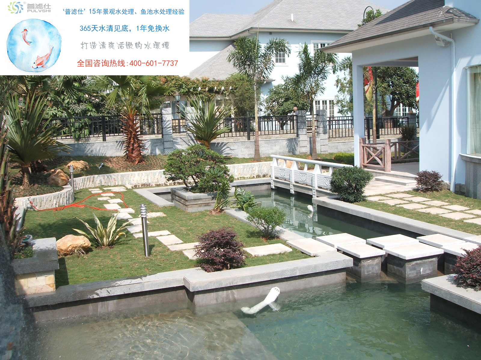 鱼池水净化