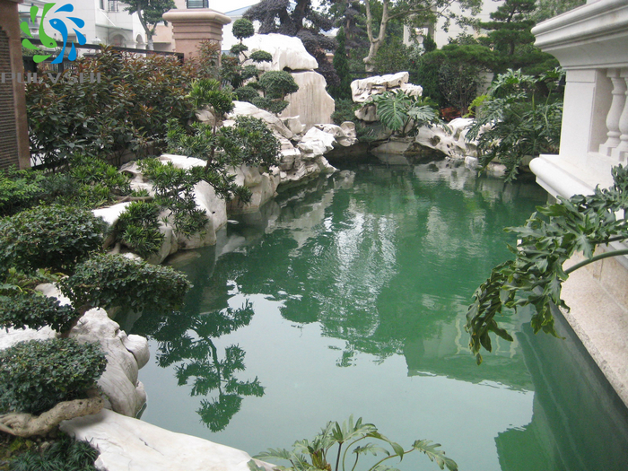 鱼池水处理工程