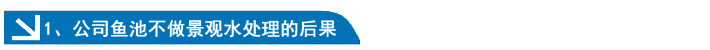 公司鱼池不做景观水处理的后果