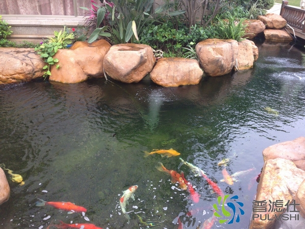 鱼池水处理1