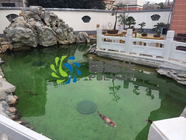 景观水体治理