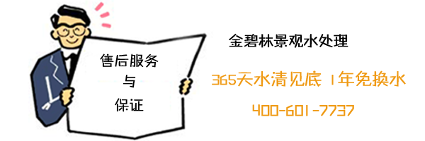 景观水池水处理售后与保证