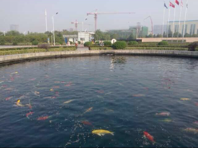 山东景观水生态处理