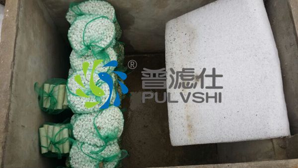 不专业的景观水处理