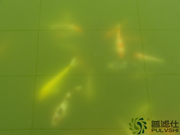 景观水处理