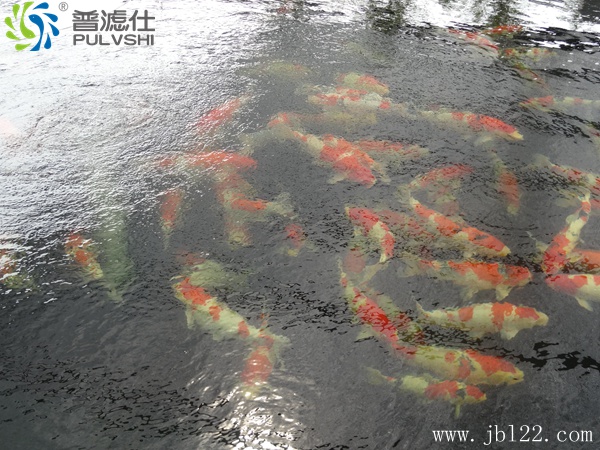 景观水处理