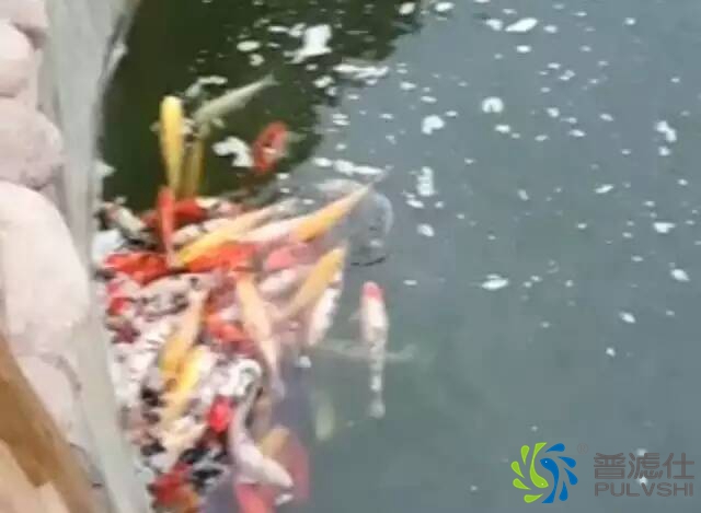 水混水浊怎么办？
