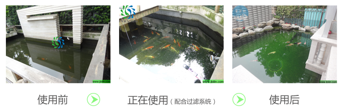 净水菌