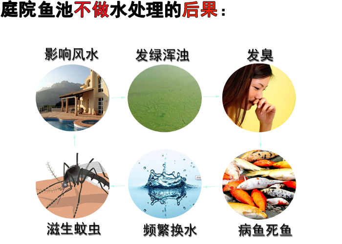 庭院鱼池