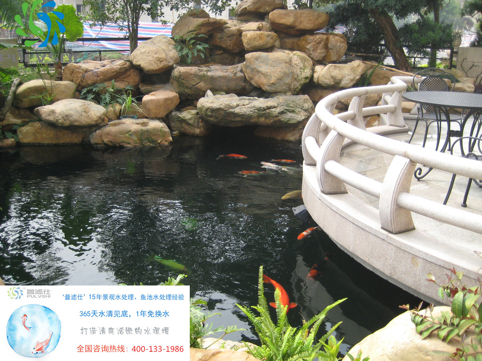 鱼池水净化