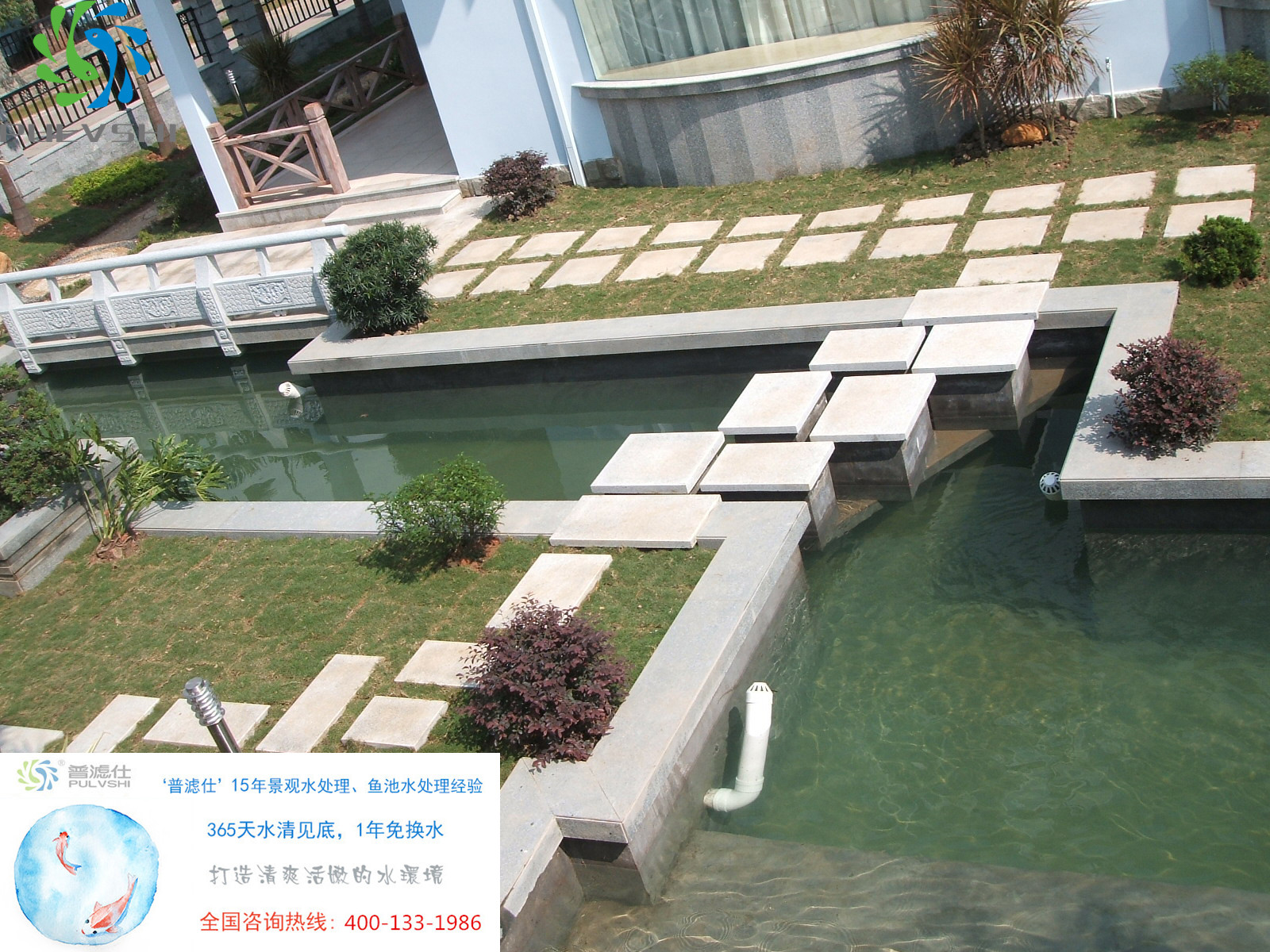 鱼池水净化
