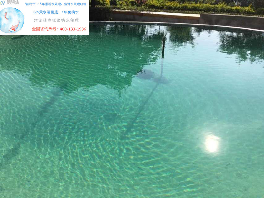 景观水处理