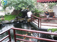 东逸湾吴总家鱼池景观水处理
