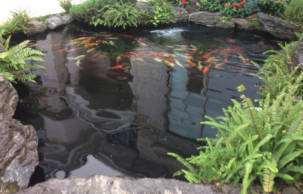 别墅景观水处理后的水质效果