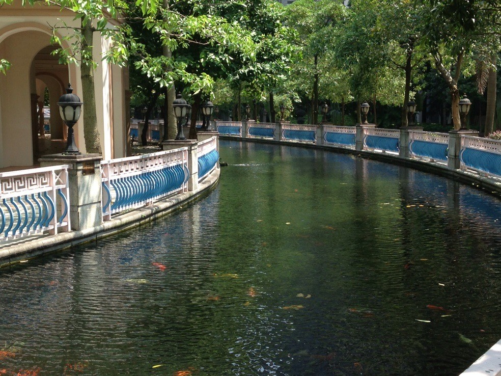 东湖洲花园景观水处理情况
