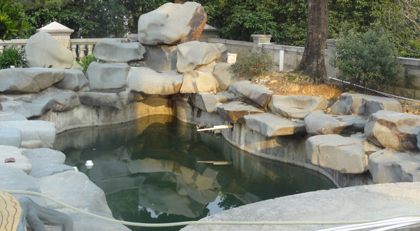 增城黄总别墅鱼池景观水处理
