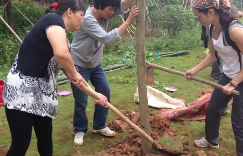 母亲节公益植树活动