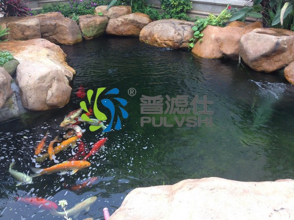 让人心动的水环境，除了金碧林景观水处理，哪里还有更好的呢？