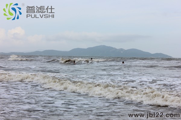 8月金碧林景观水处理亲海活动