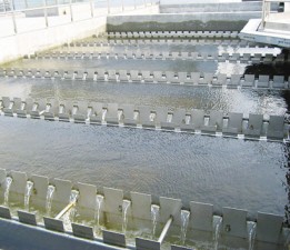 东莞加紧保护水质 拟筹建3座二代工艺水处理厂