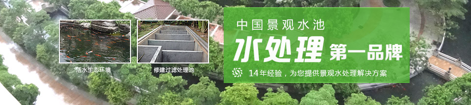 您造吗？景水是整个景观的魂！您还在拒绝景观水处理吗？