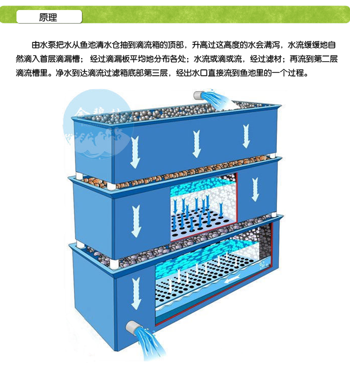 景观水处理——不能缺少的鱼池滴漏箱