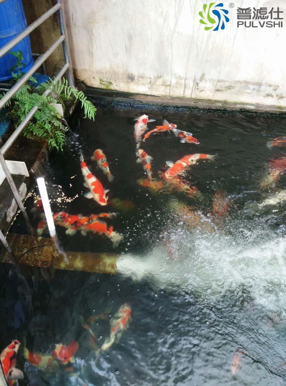 玉溪李先生庭院景观水处理案例