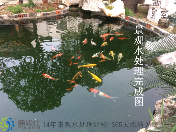 祝贺‘普滤仕’杭州分公司完成东昱画室景观水处理案例