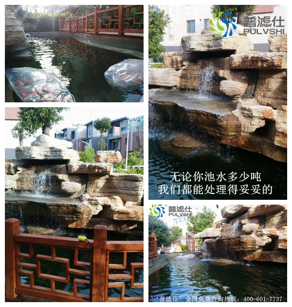 祝贺云南玉溪‘普滤仕’分公司完成一鱼池水处理工程