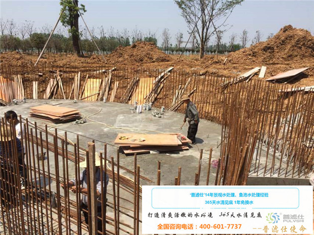 湖北300吨景观鱼池景观水处理正在进行中