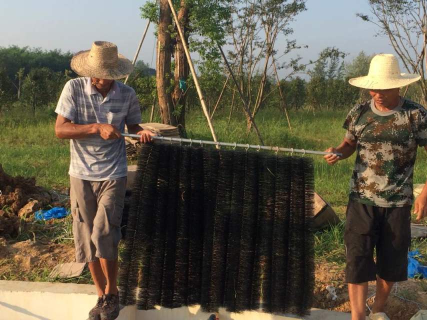 湖北景观鱼池过滤系统安装正在中进行中