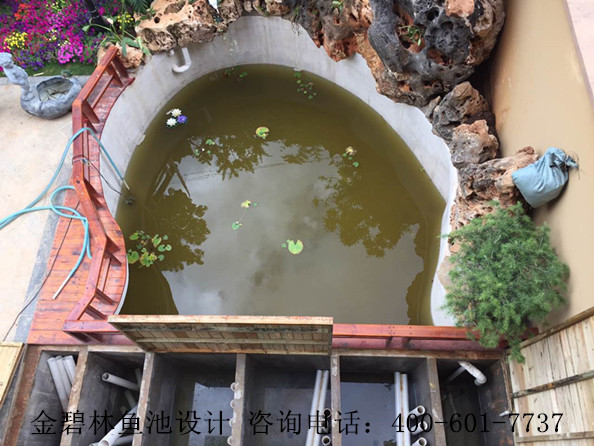 云南庭院鱼池景观水处理案例