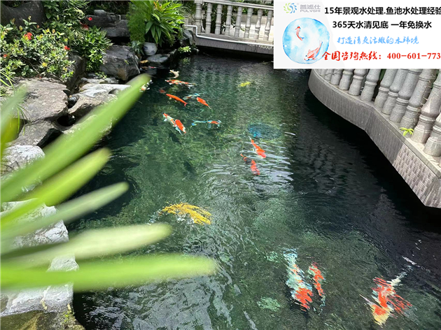 你出院子，我出鱼池设计
