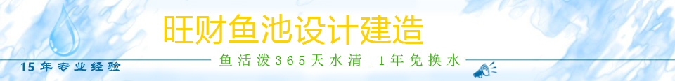 横幅广告1